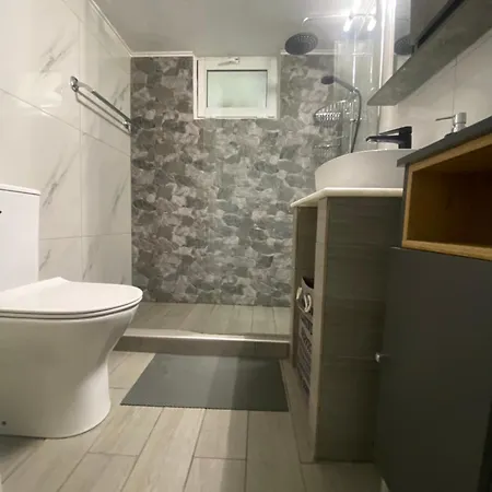 Facilis Vector House *