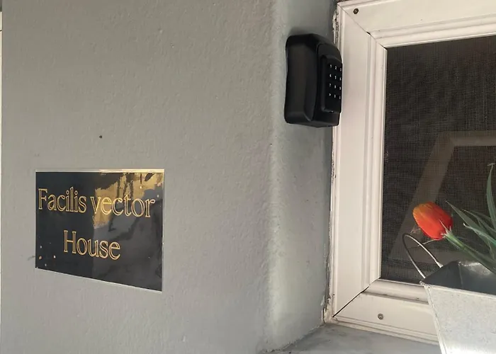 Apartament Facilis Vector House
