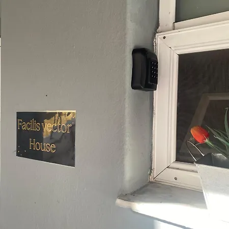 아파트 Facilis Vector House