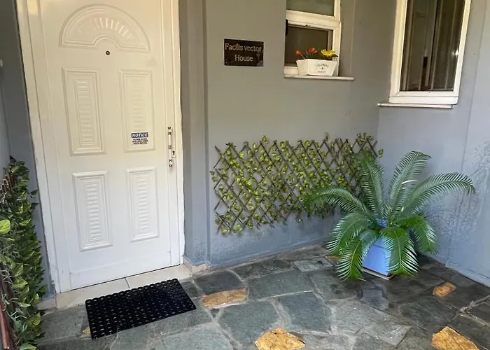 Facilis Vector House *